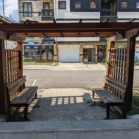 Casual Near Gondola & Center - Neon